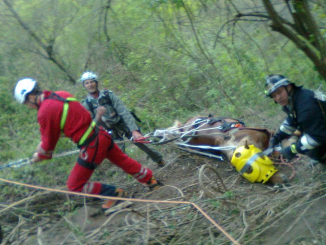 Fire & Emergency VET Fire & Emergency VET