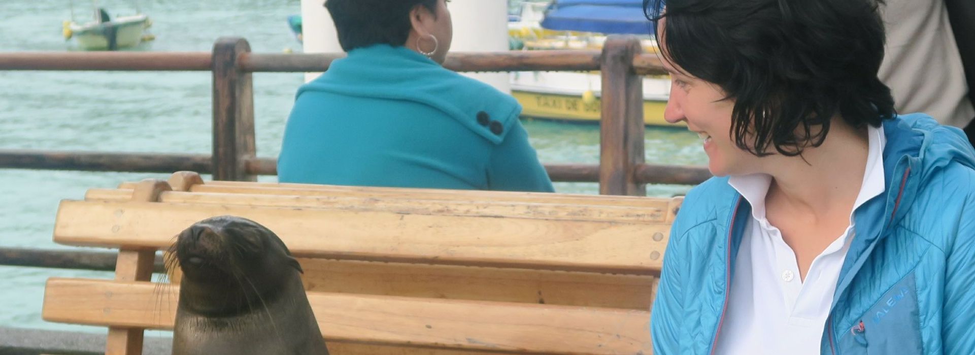 Tierarztpraxis Schlern - Südtirol