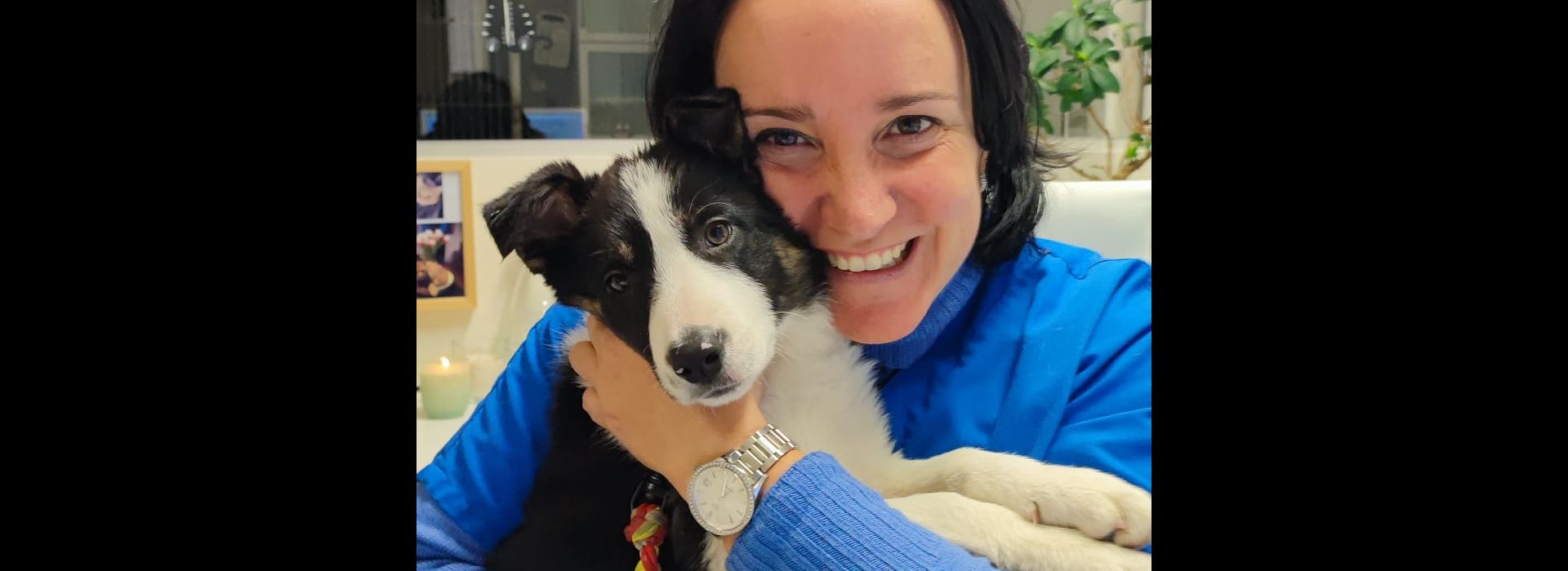 Tierarztpraxis Schlern - Südtirol