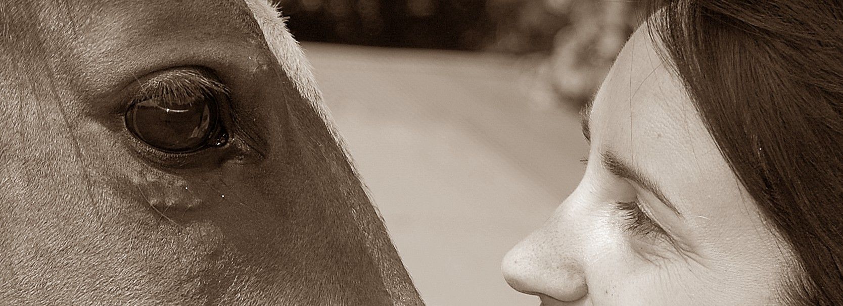 Tierarztpraxis Schlern - Südtirol