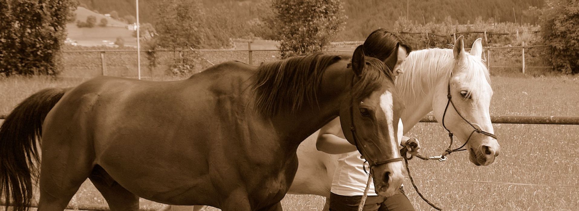 Tierarztpraxis Schlern - Südtirol