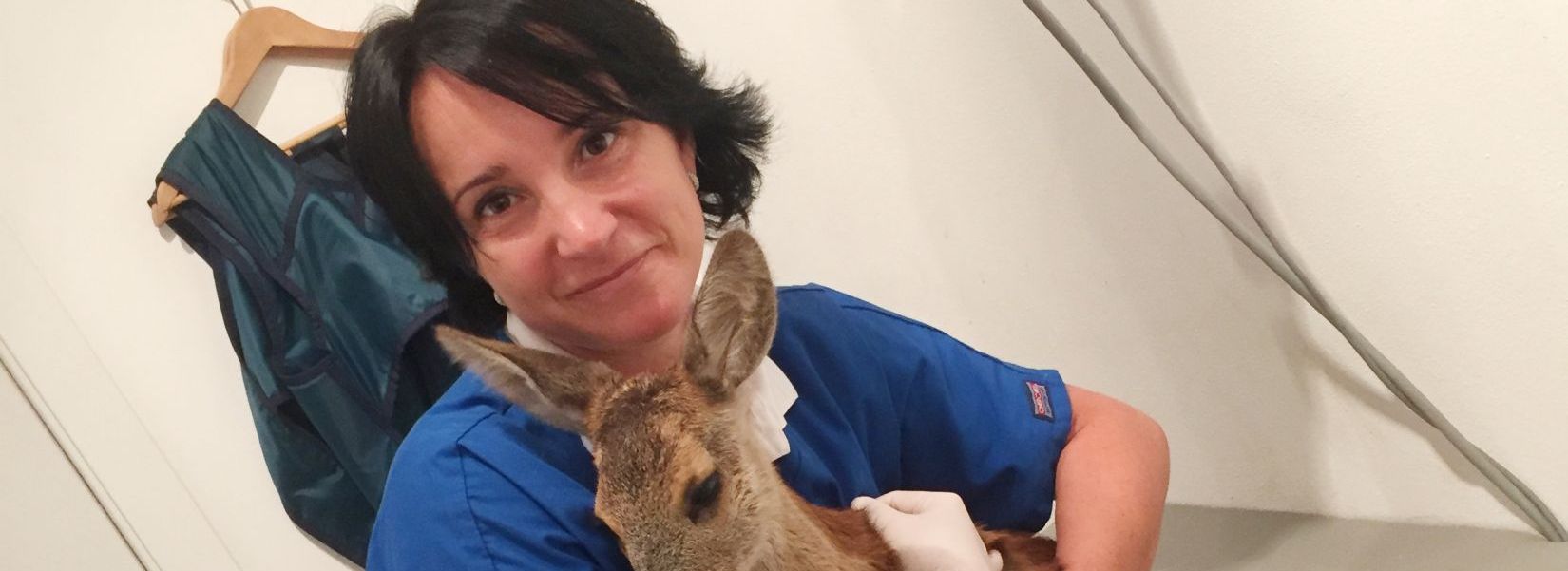 Tierarztpraxis Schlern - Südtirol