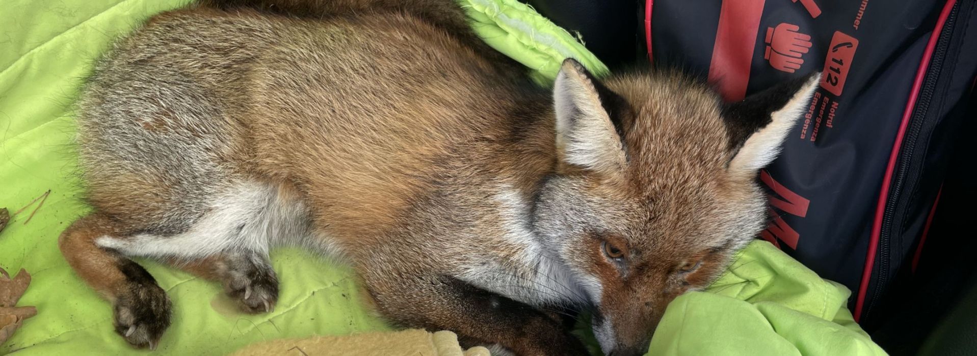 Tierarztpraxis Schlern - Südtirol